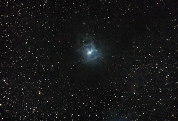 Iris Nebula NGC 7023 - Astrophotography