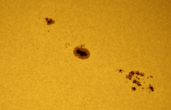 Sunspots for March 29: 2975, 2976 - Astrophotography