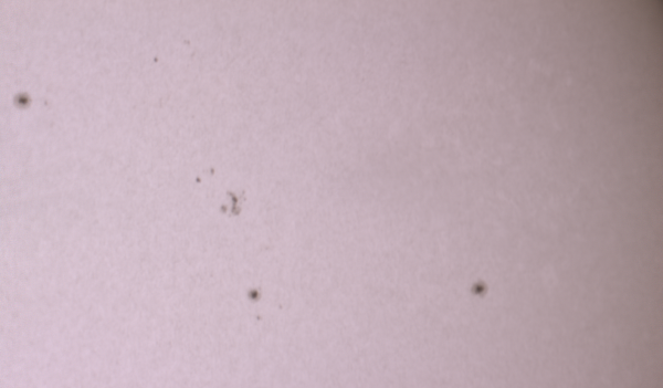 Sunspots from March 12 - Astrophotography