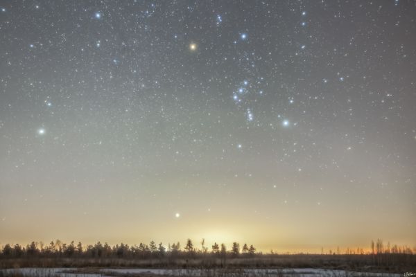 The Rise of Orion - Astrophotography