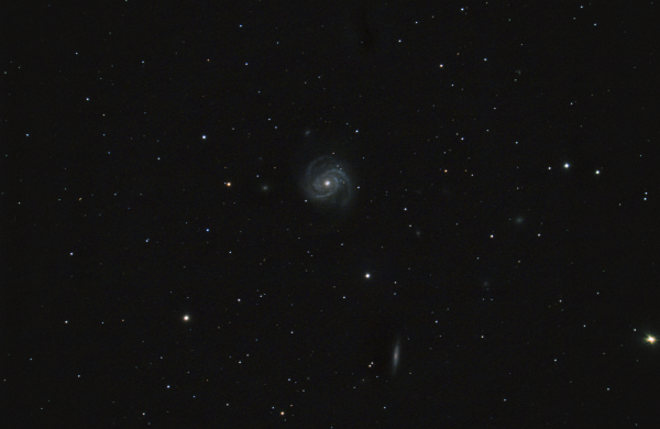 M 100 and companions - Astrophotography
