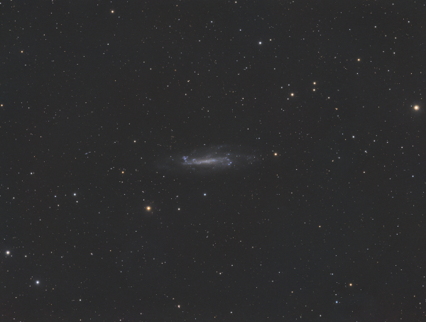 NGC4236 in Draco - Astrophotography