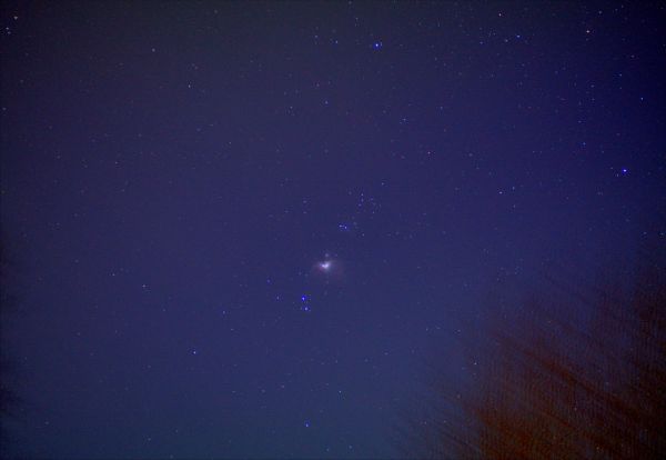 Evening Orion - Astrophotography