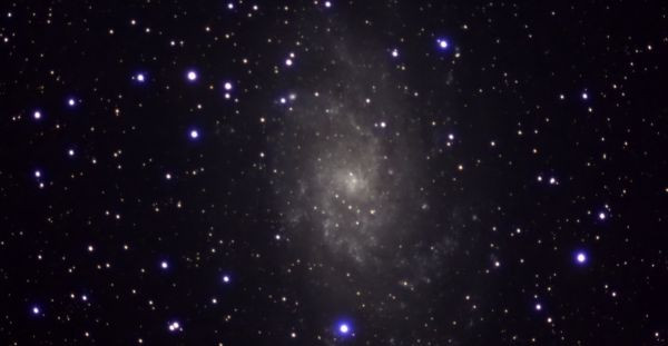 M33