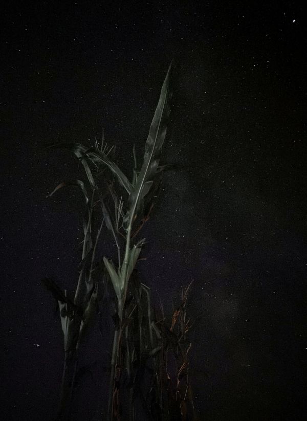 Night experiment - Astrophotography