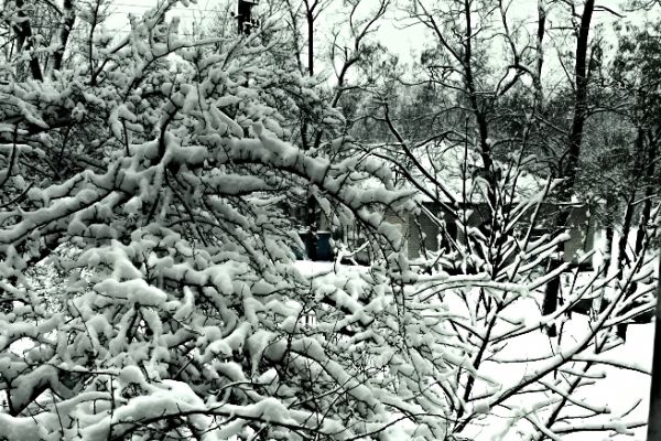 Winter. - Astrophotography