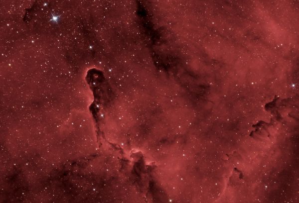 Elephant's Trunk Nebula - Astrophotography