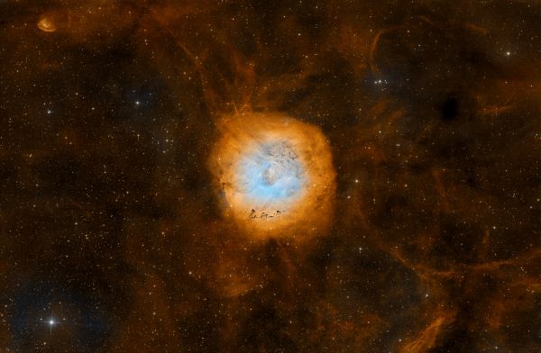 SH2-170. Little Rosette. - Astrophotography