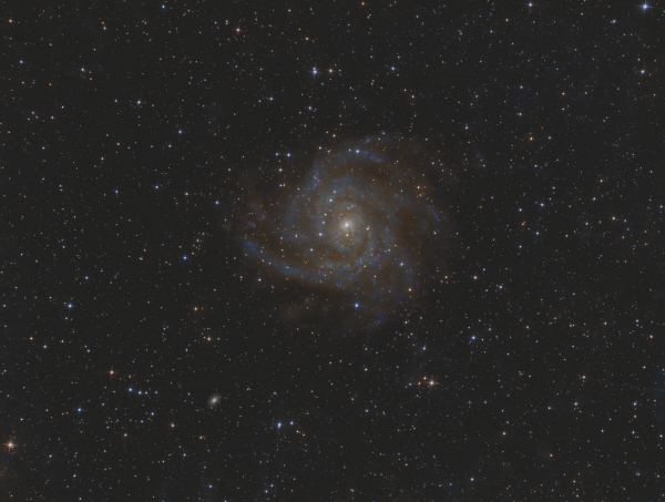 Galaxy IC 342 (Caldwell 5) - Astrophotography