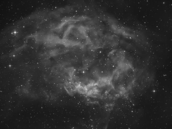 Lower's Nebula (Sh2-261) - Astrophotography