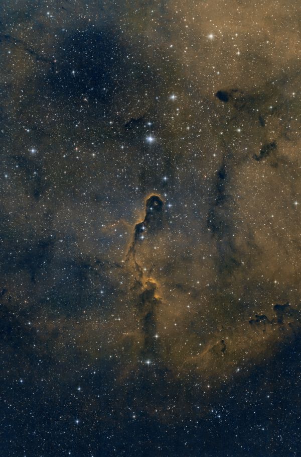 IC1396A - Elephant's Trunk Nebula - Astrophotography