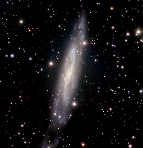 NGC7640 - Astrophotography