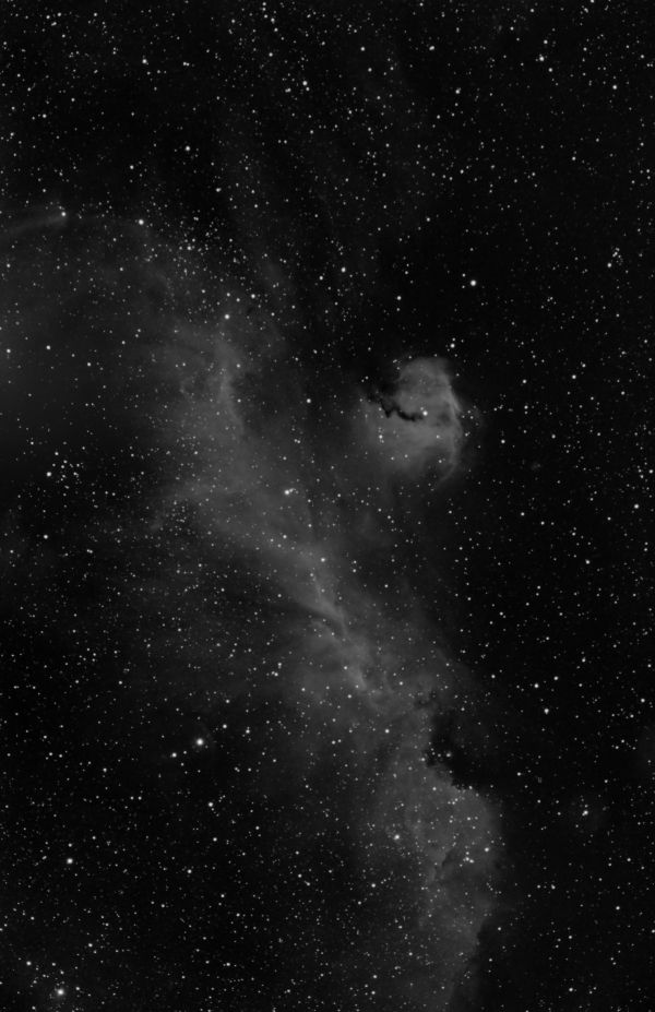 The Seagull Nebula, IC 2177, in hydrogen-alpha (Ha) light. - Astrophotography