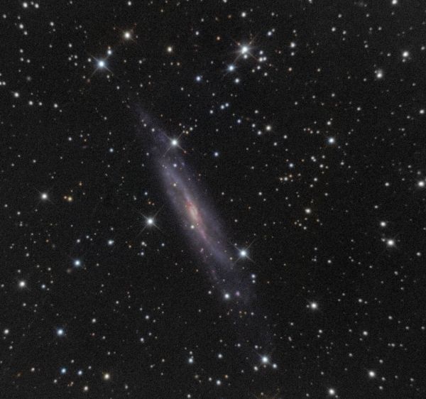 NGC 7640 - Astrophotography