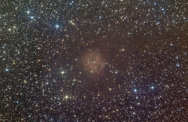 IC 5146 Cocoon - Astrophotography