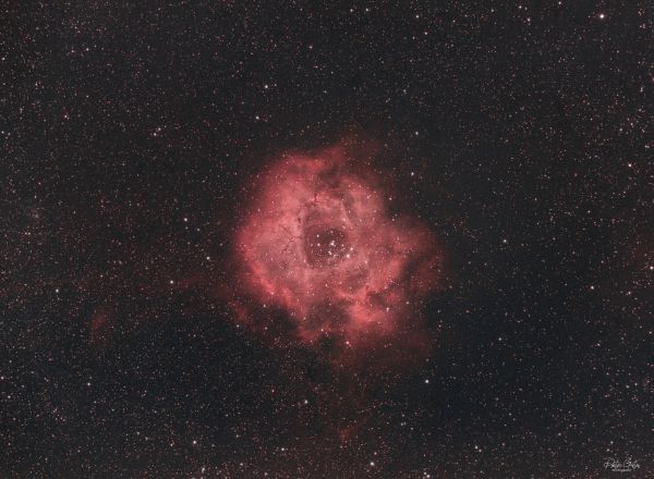 NGC 2237 Rosette nebula - Astrophotography