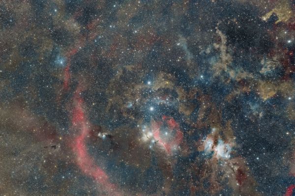The orion complex - Astrophotography