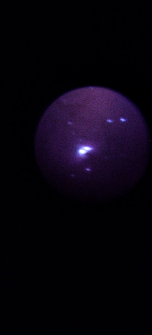 Orion Nebula - Astrophotography