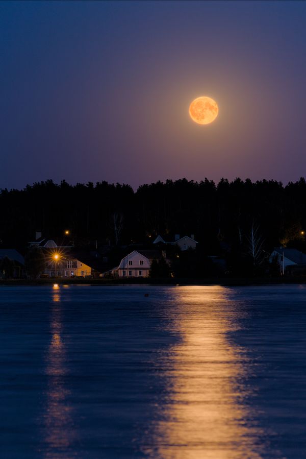 Deer Moon - Astrophotography