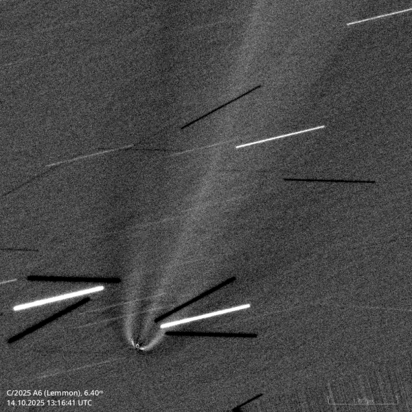C/2025 A6 (Lemmon) - Astrophotography