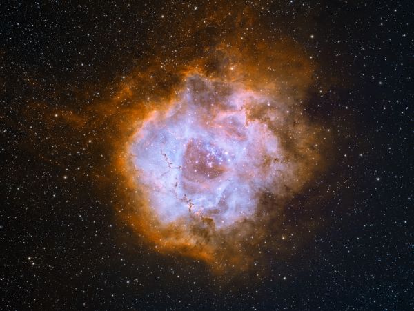 Rosette Nebula NGC 2238 - Astrophotography