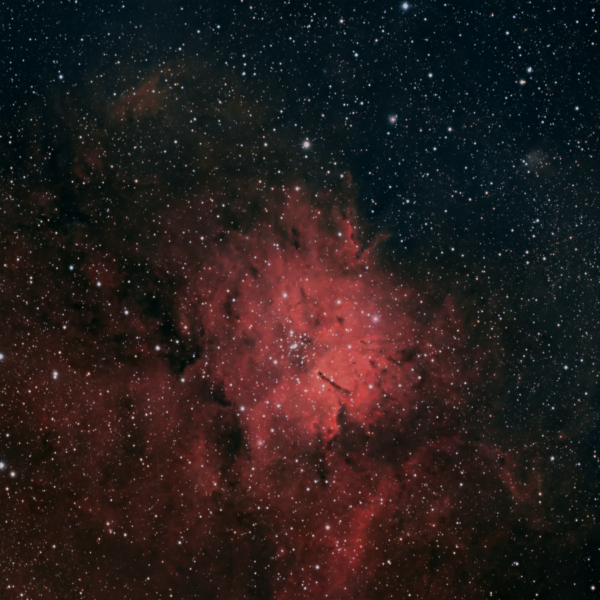 NGC6823 - Astrophotography
