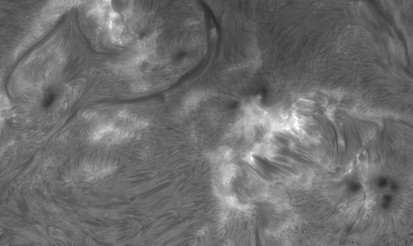 Active region 4197 for 1.5 hours on August 28, 2025 - Astrophotography