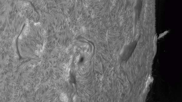 Animation of the active region 23-02-2025 - Astrophotography