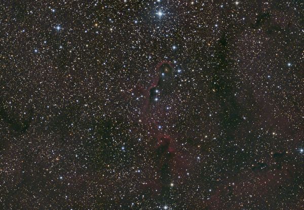 IC 1396A Elephant's Trunk - Astrophotography