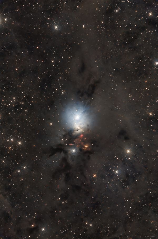 NGC 1333 (Embryo nebula) - Astrophotography