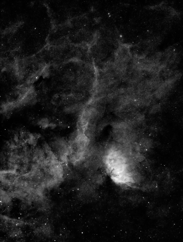 SH2-101 (Tulip Nebula) in Cygnus - Astrophotography