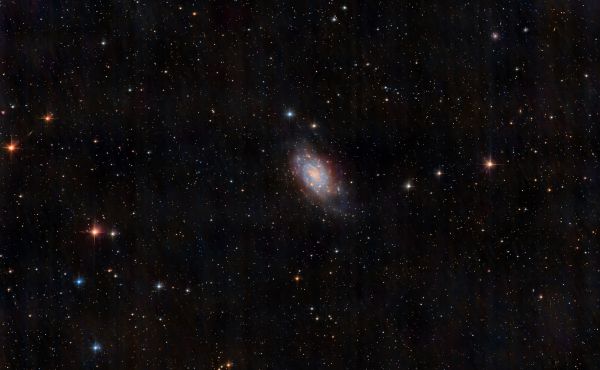 NGC 2403 - Caldwell 7 - Chuck Novice - Astrophotography