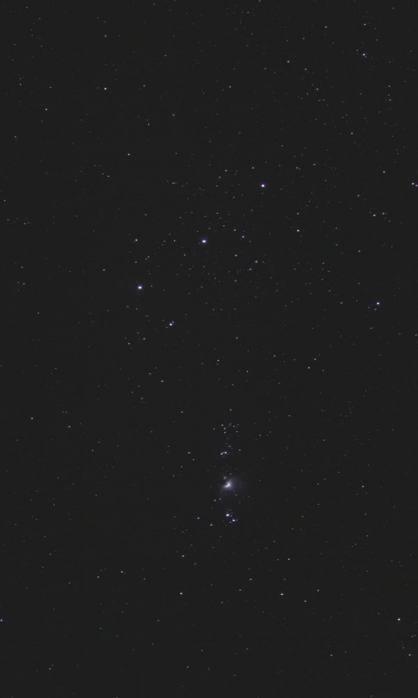 The Orion Nebula and Belt - Astrophotography