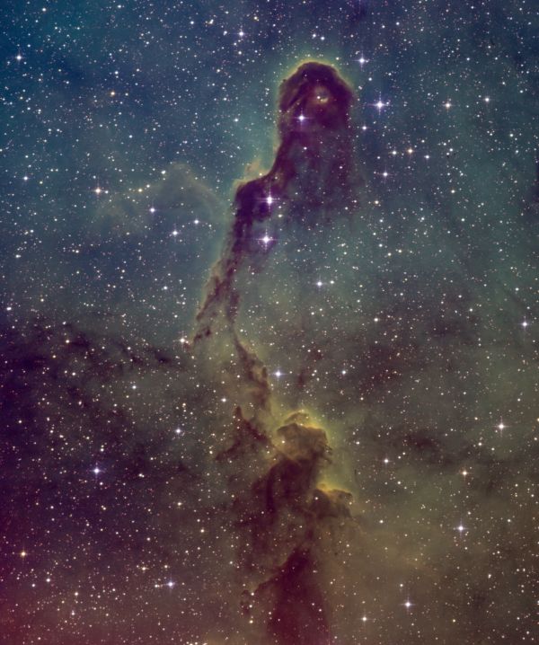 IC 1396, Elephant's Trunk nebula - Astrophotography