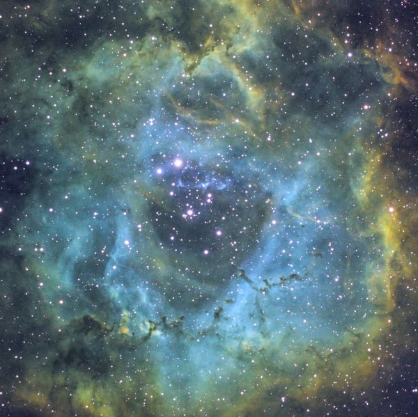 NGC 2239 - Astrophotography
