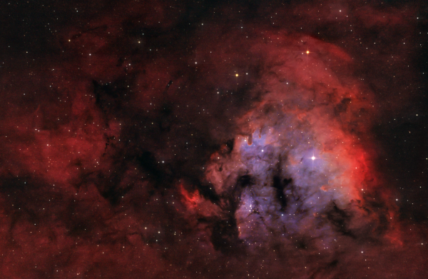 Central part of the nebula NGC 7822 