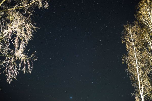 Night Sky - Astrophotography