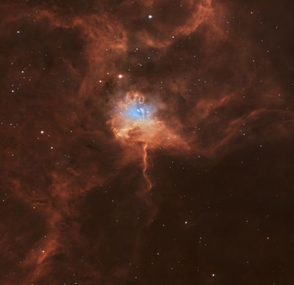 The fly ran away. - Astrophotography