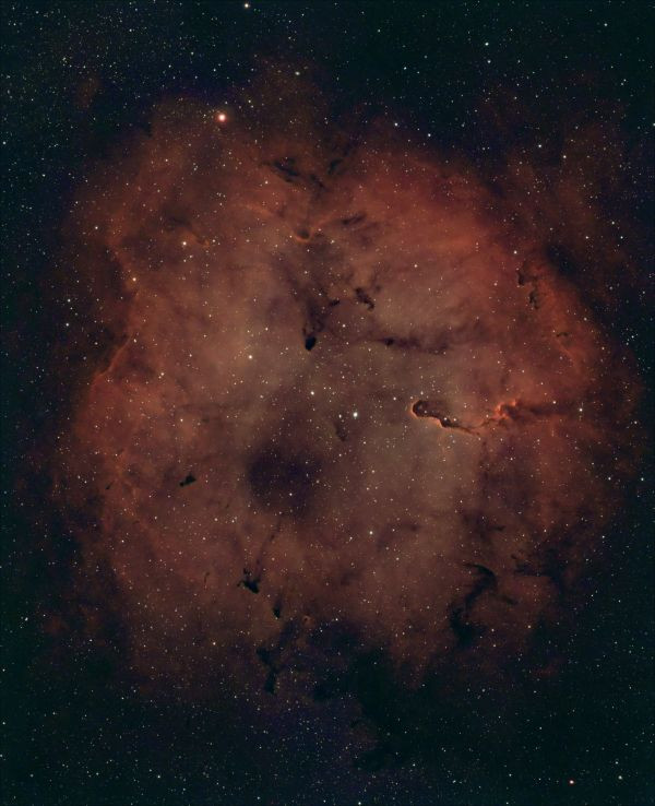 IC 1396 Elephant's Trunk - Astrophotography
