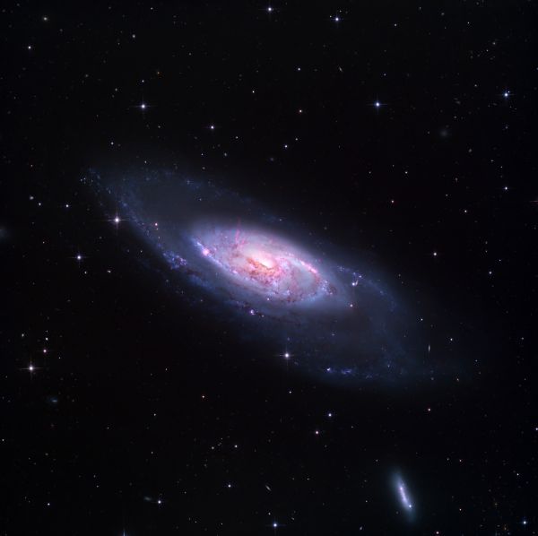 Galaxy M106 - Astrophotography