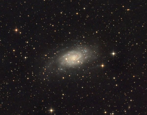 NGC 2403 - Astrophotography