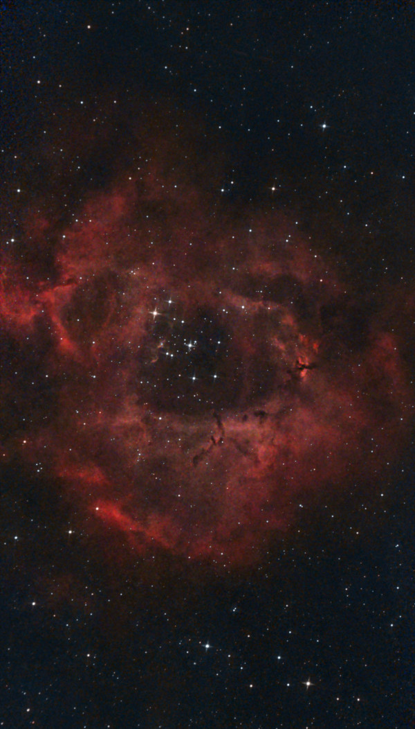 NGC 2237 - Rosseta Nebula - Astrophotography