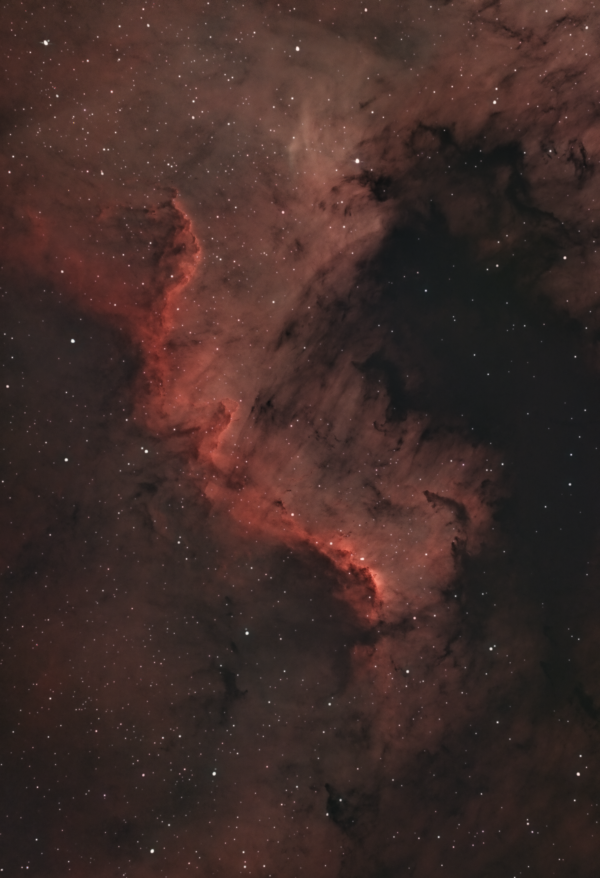 A fragment of the North America Nebula 
