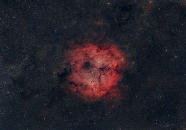 Elephant's Trunk - Astrophotography