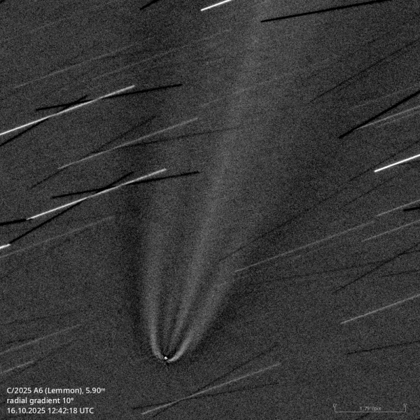 C/2025 A6 (Lemmon) - Astrophotography