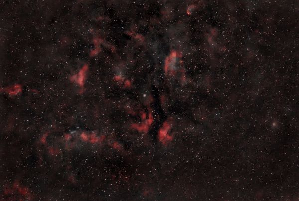 Ic 1318 - Astrophotography