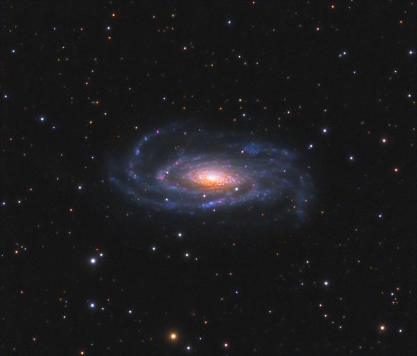 NGC 5033 (UGC 8307, MCG 6-29-62, ZWG 189.43, IRAS13111+3651, PGC 45948) - Astrophotography