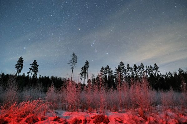 Orion Stars 12.2022 - Astrophotography