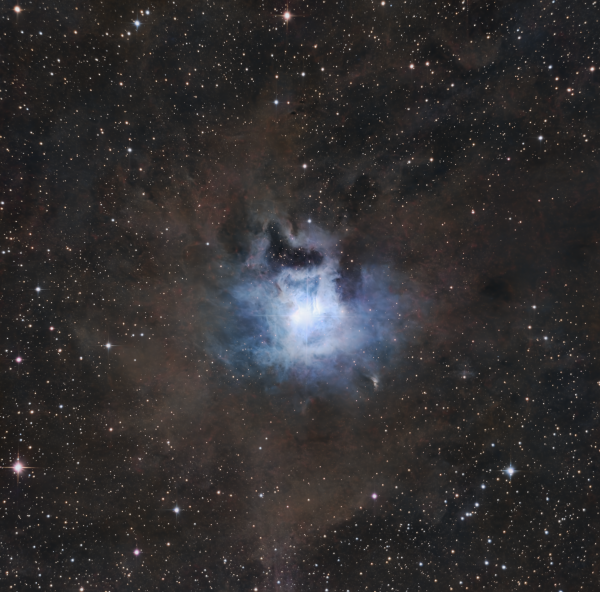 NGC7023 - Iris Nebula - Astrophotography