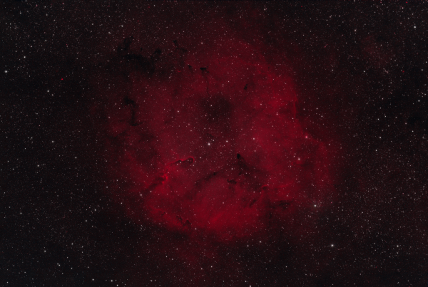 ELEPHANT TRUNK - Astrophotography